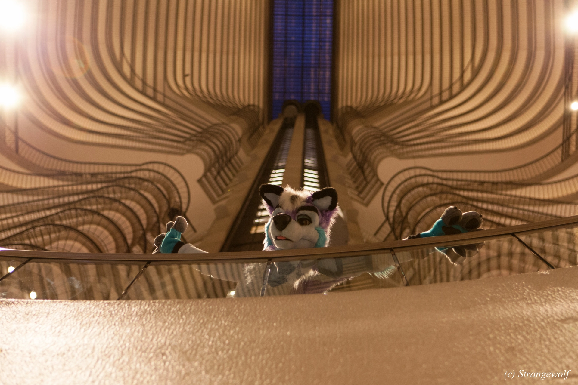 full image IMG_2105-lr19t.jpg