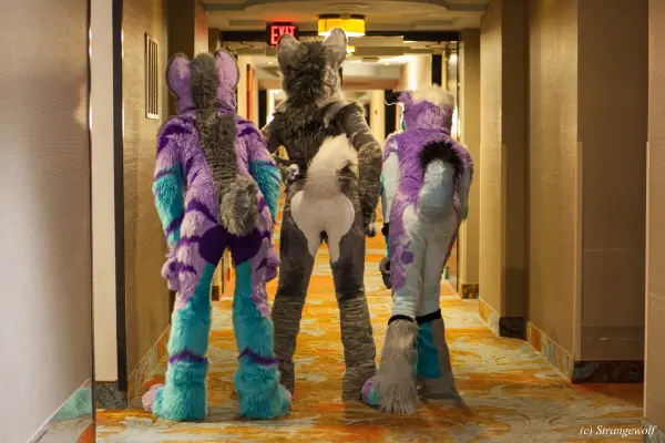 IMG_3212-lr19t.jpg of BLFC/2019/