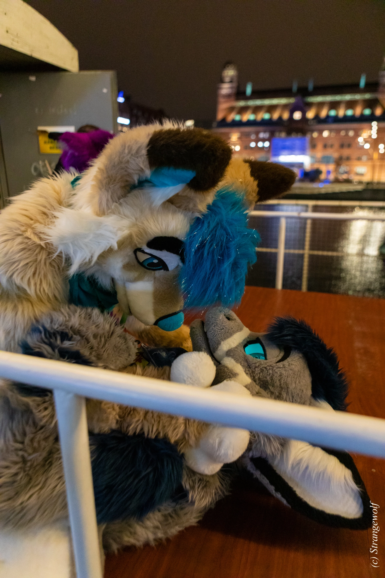 full image 1R3A9192-lr19t.jpg