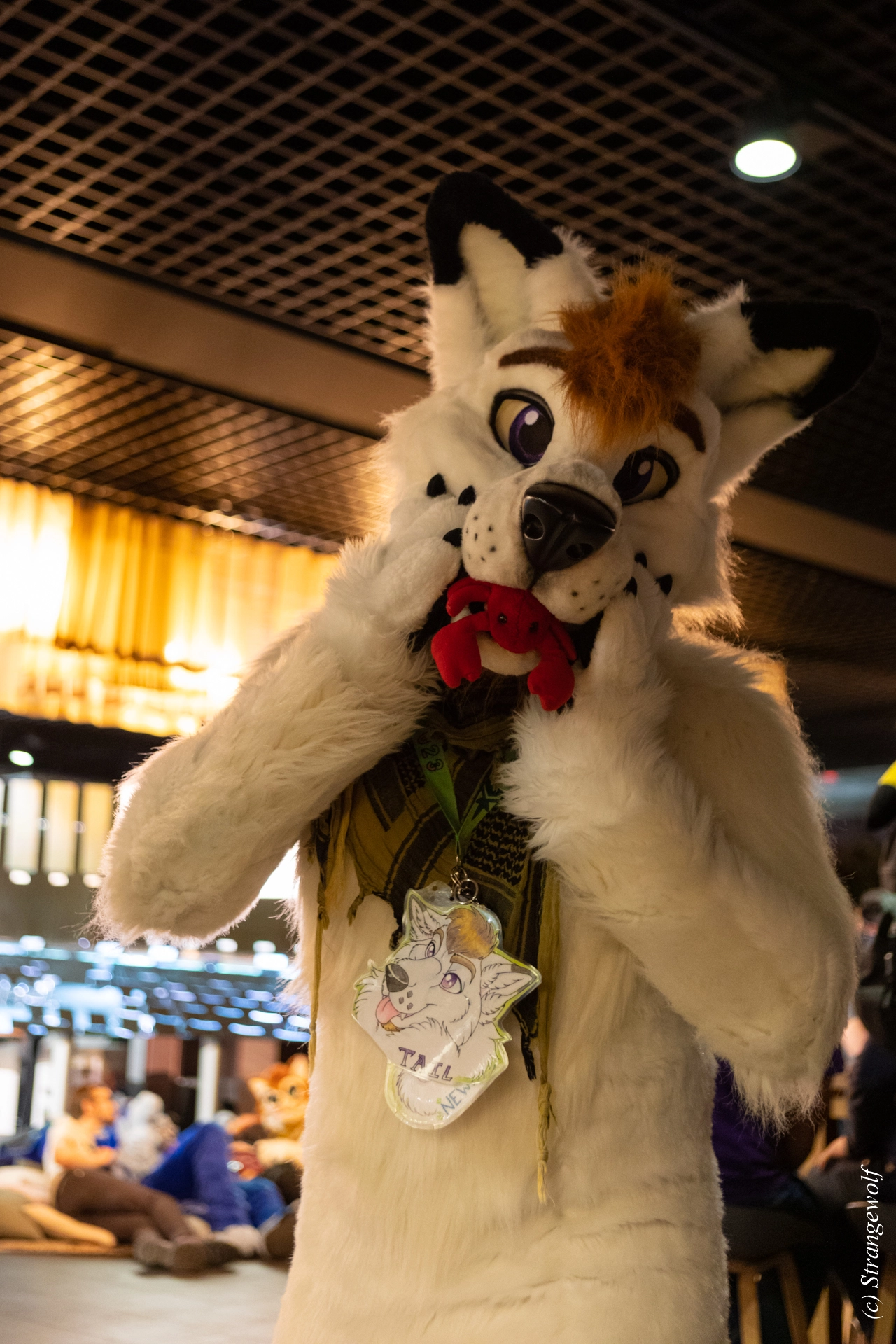 full image 1R3A9972-lr19t.jpg