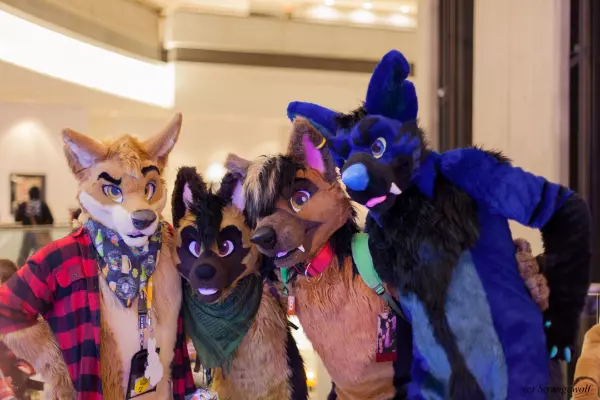 IMG_2027-lr19t.jpg of FWA/FWA2017/