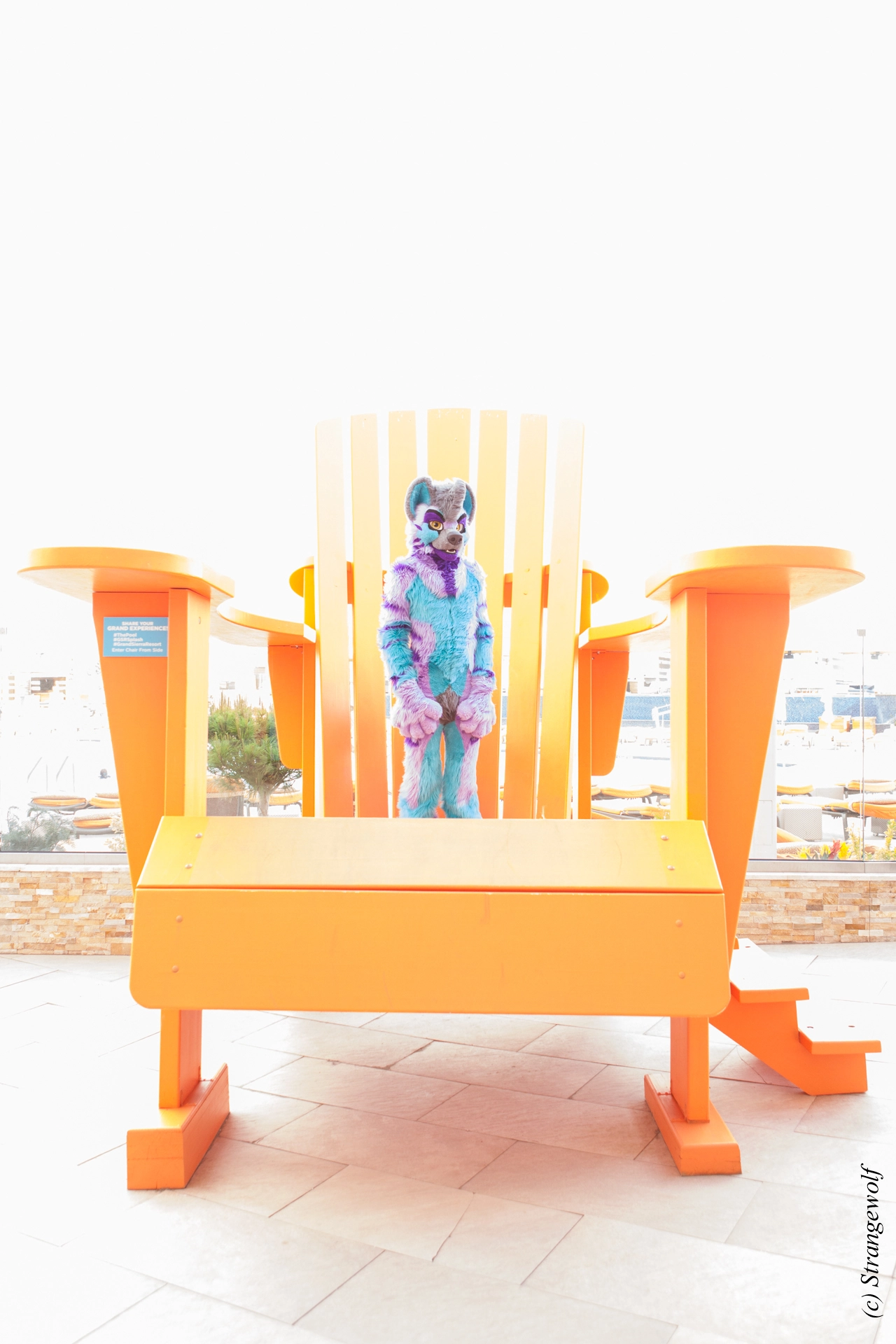full image IMG_2891-lr19t.jpg
