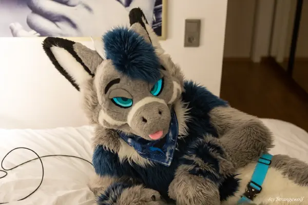 1R3A9460-lr19t.jpg of NFC/NFC2023/