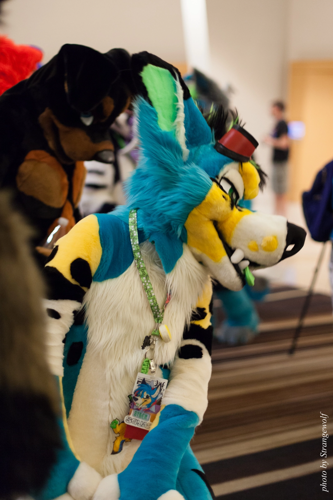 full image IMG_3073-lr16t.jpg
