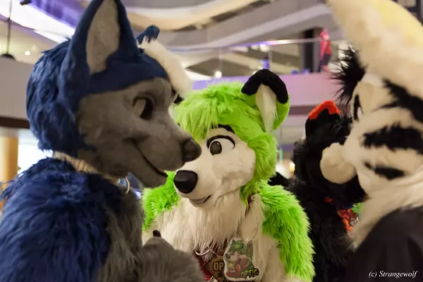 IMG_1672-lr19t.jpg of FWA/FWA2019/