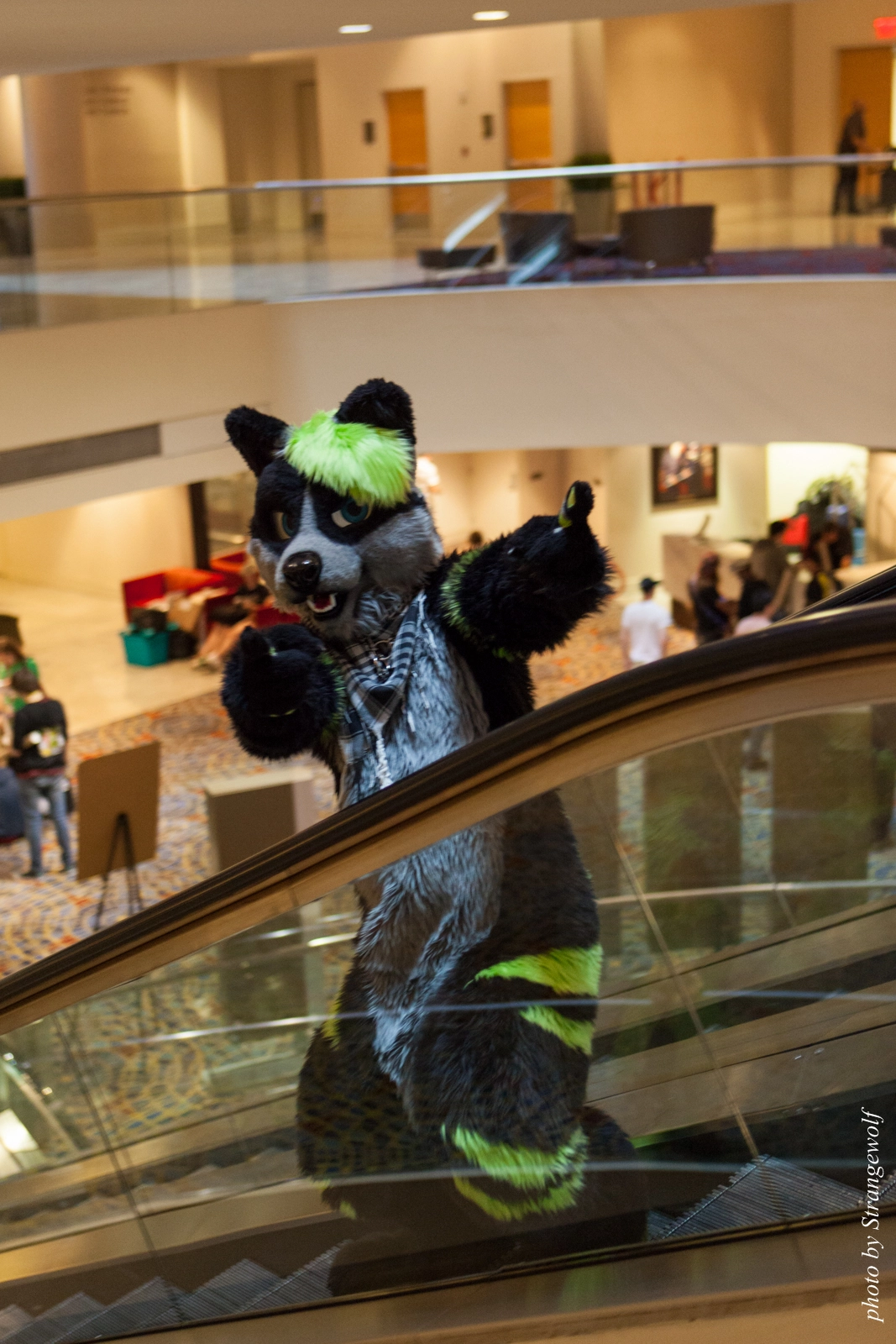 full image IMG_7661-lr16t.jpg