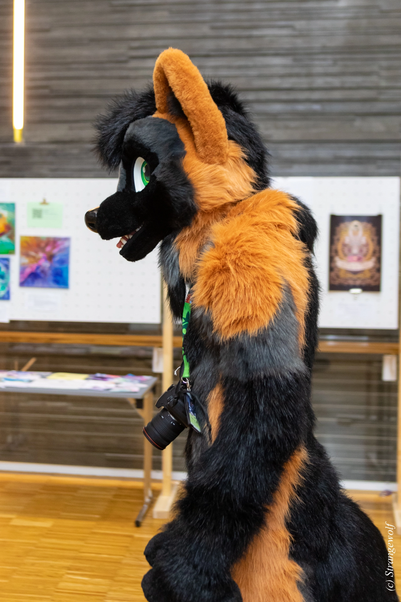 full image 1R3A9428-lr19t.jpg