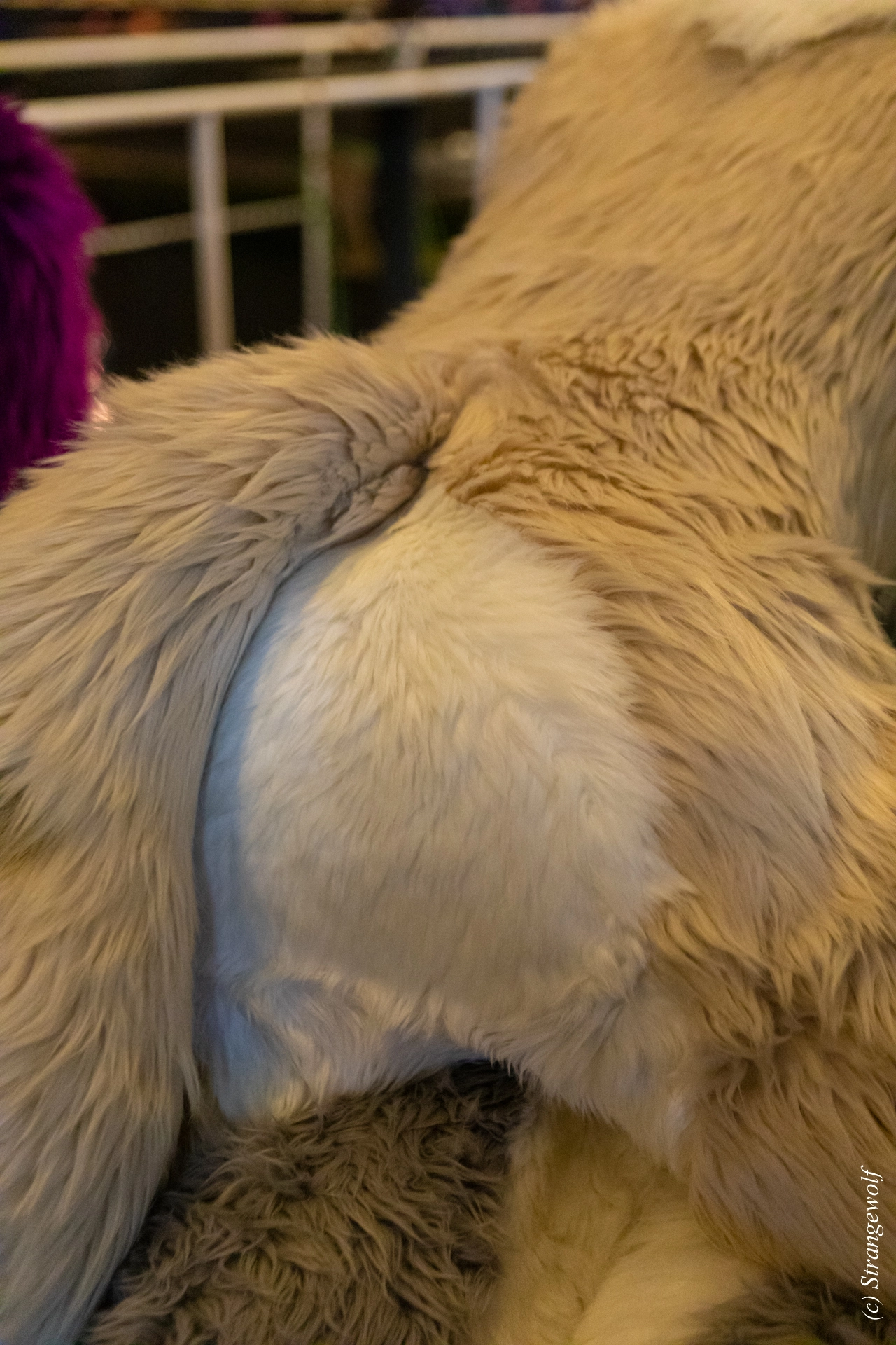 full image 1R3A9208-lr19t.jpg