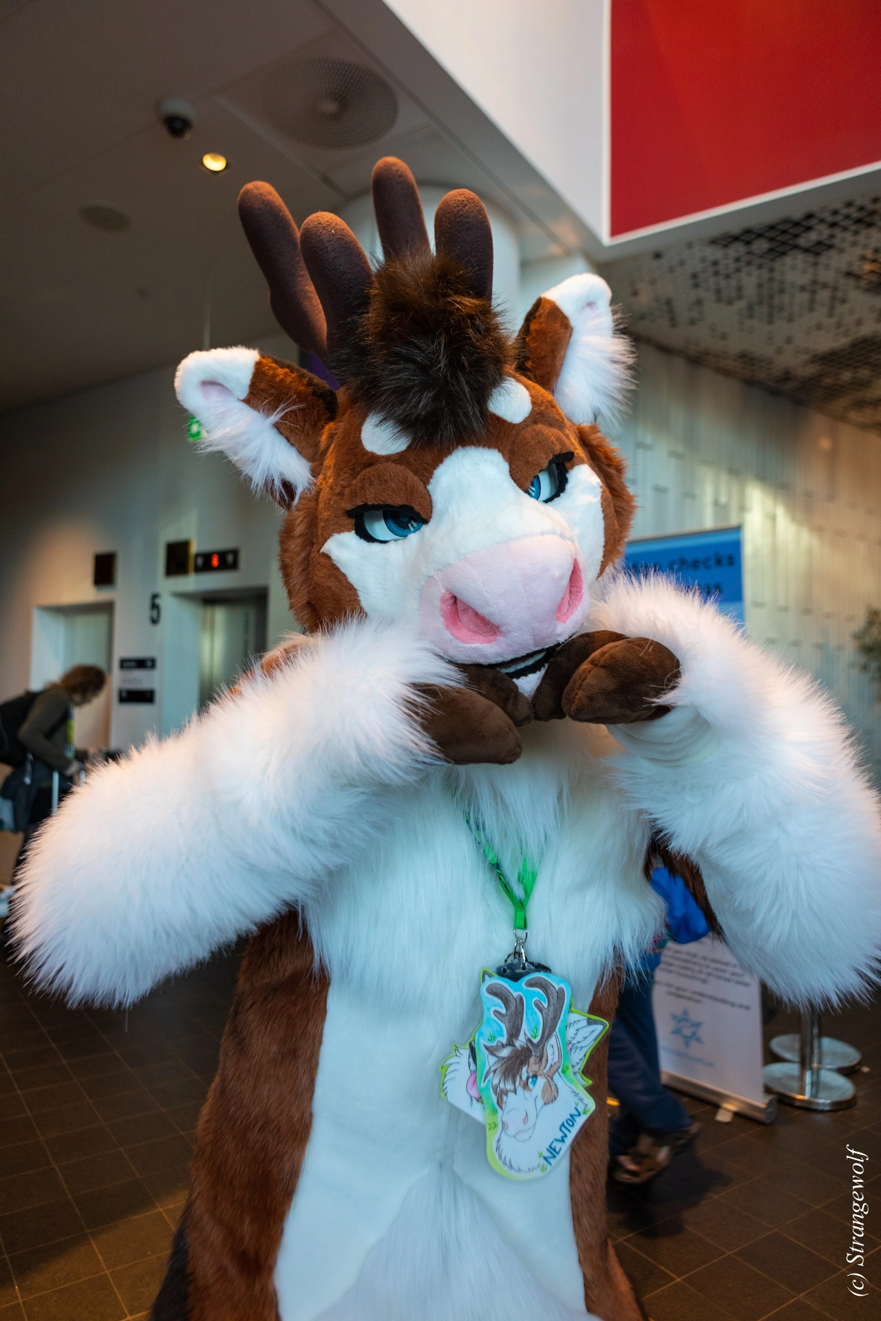 full image 1R3A9862-lr19t.jpg