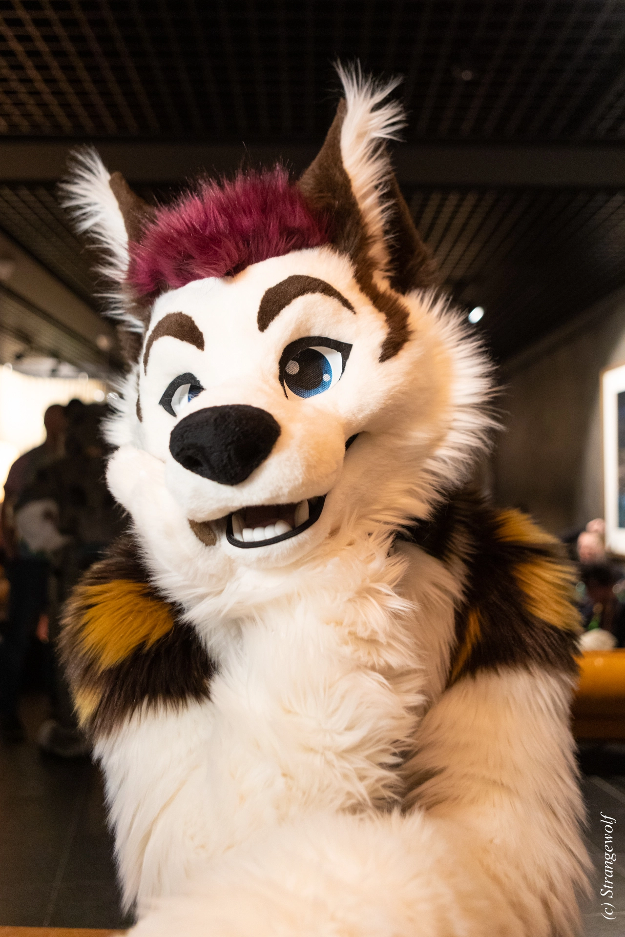 full image 1R3A9079-lr19t.jpg