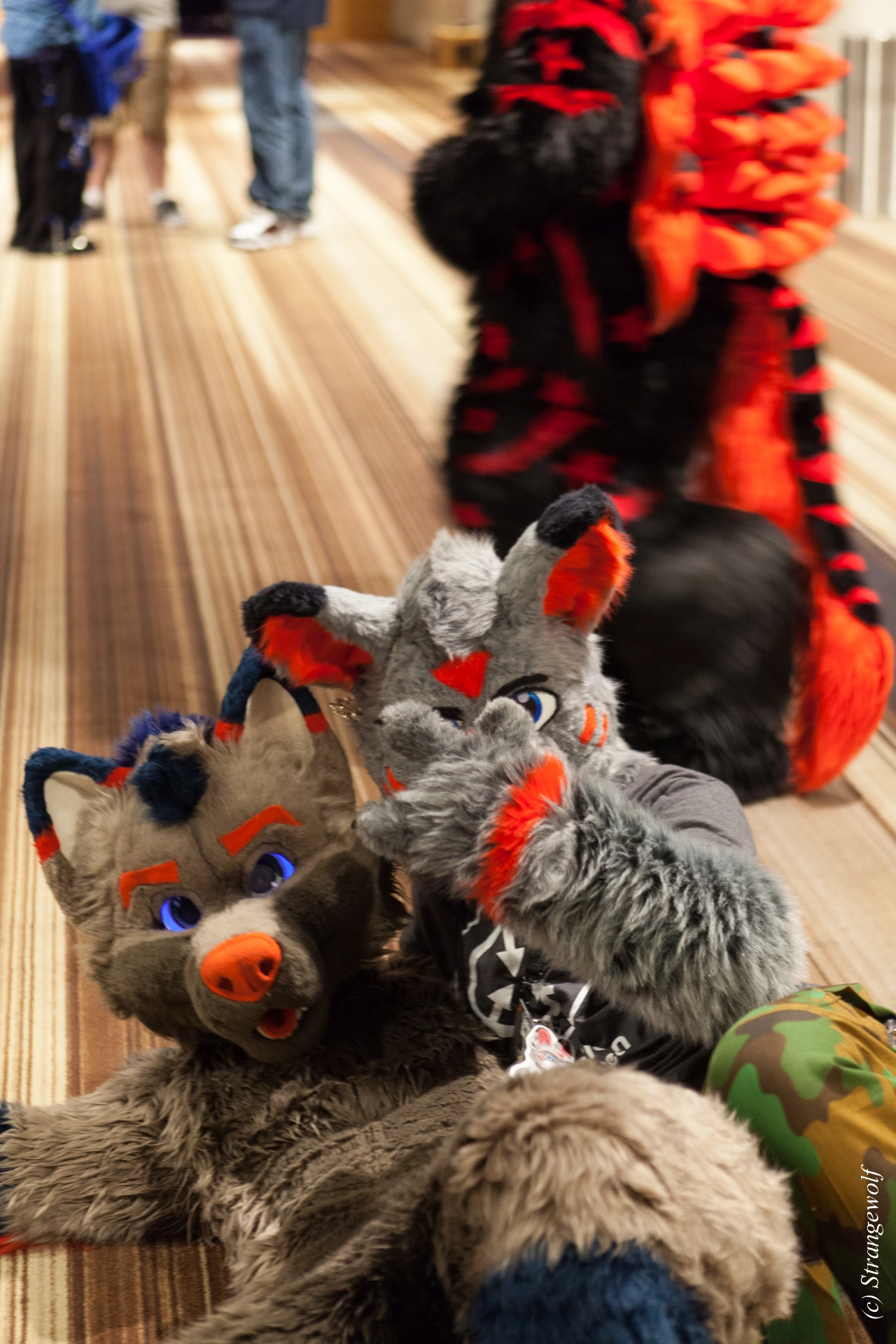 full image IMG_1668-lr19t.jpg