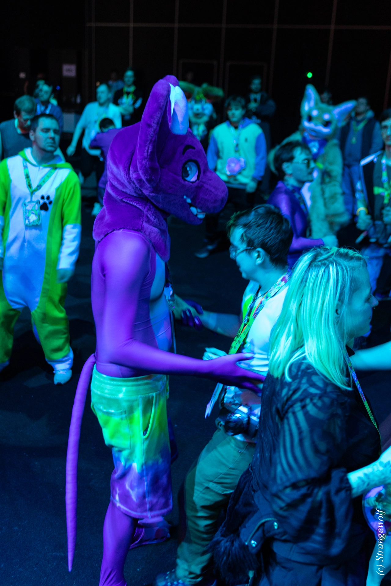 full image 1R3A9693-lr19t.jpg