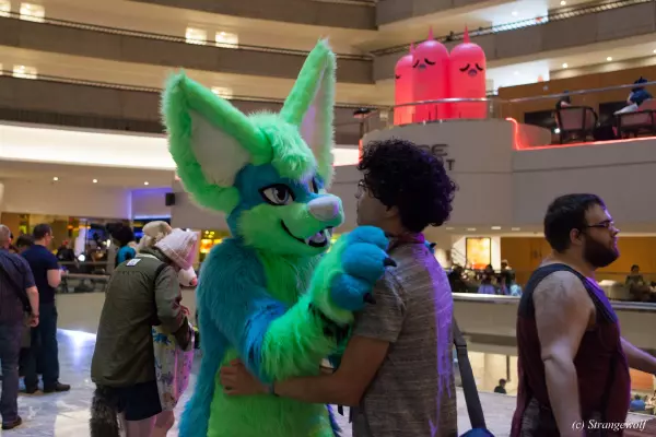 IMG_2367-lr19t.jpg of FWA/FWA2019/