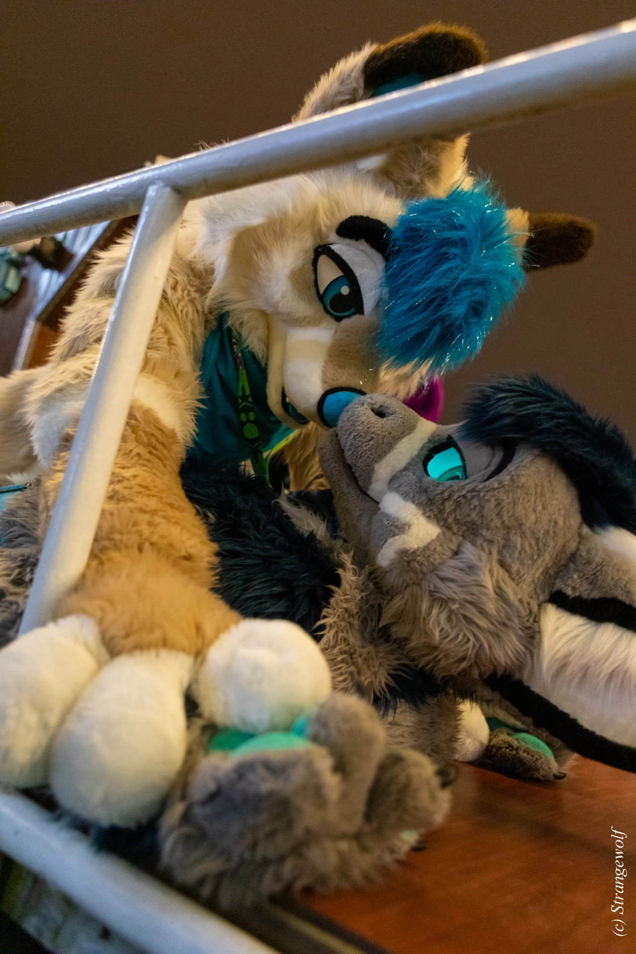 full image 1R3A9203-lr19t.jpg