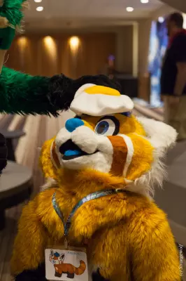 Next album: FWA2019