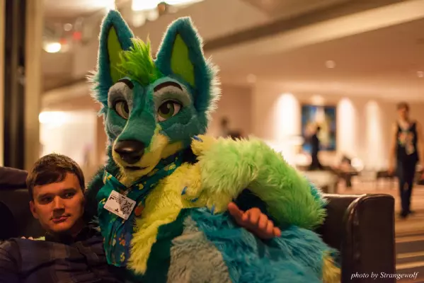 IMG_2817-lr16t.jpg of FWA/FWA2017/