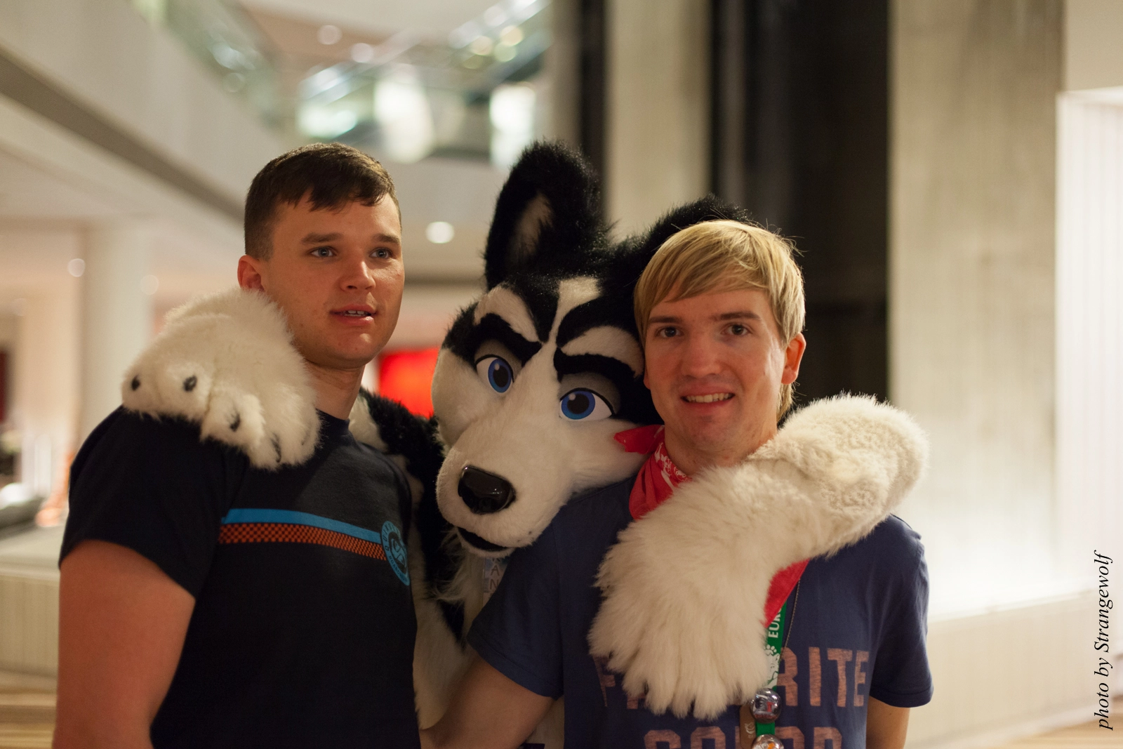 full image IMG_5757-lr16t.jpg