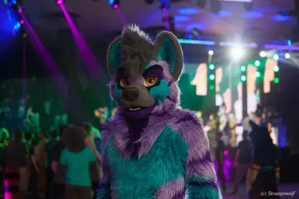 IMG_3442-lr19t.jpg of BLFC/2019/