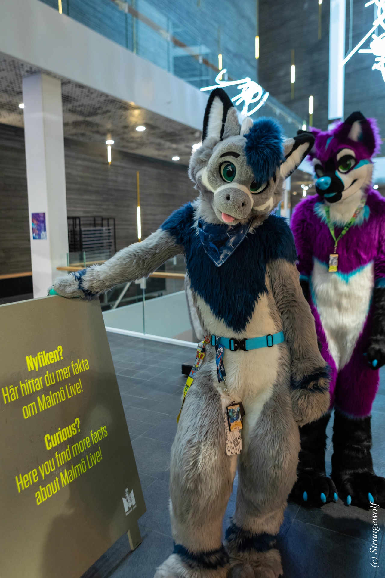 full image 1R3A0144-lr19t.jpg