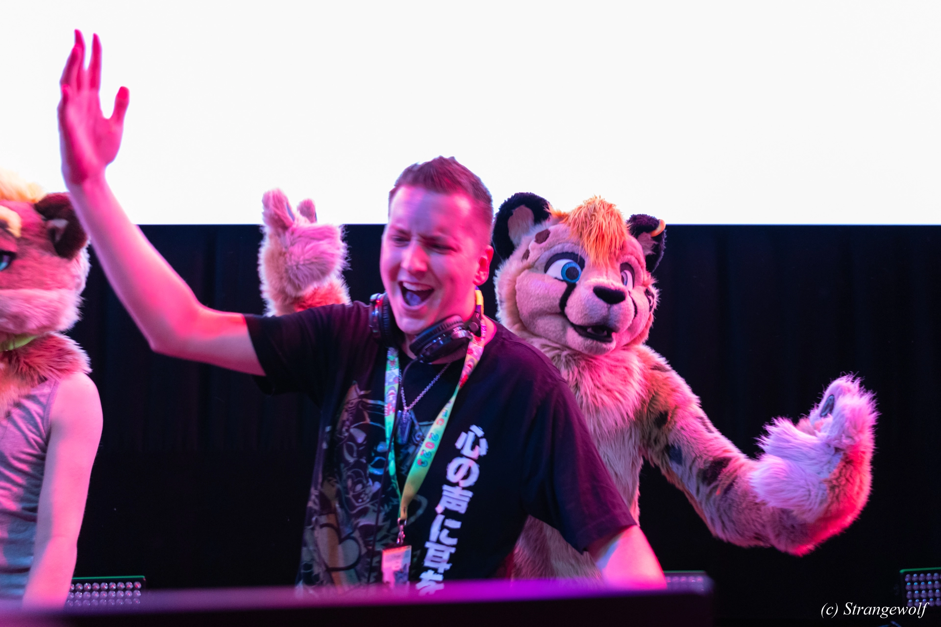 full image 1R3A9703-lr19t.jpg