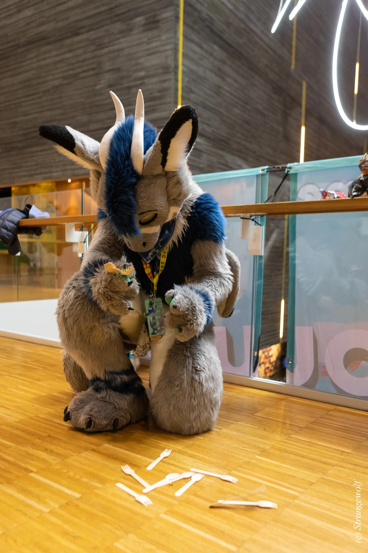 full image 1R3A9411-lr19t.jpg