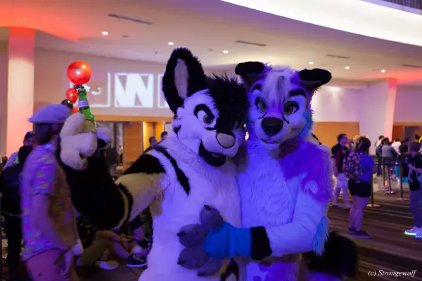 IMG_2135-lr19t.jpg of FWA/FWA2019/