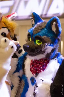 IMG_1720-lr19t.jpg of FWA/FWA2019/