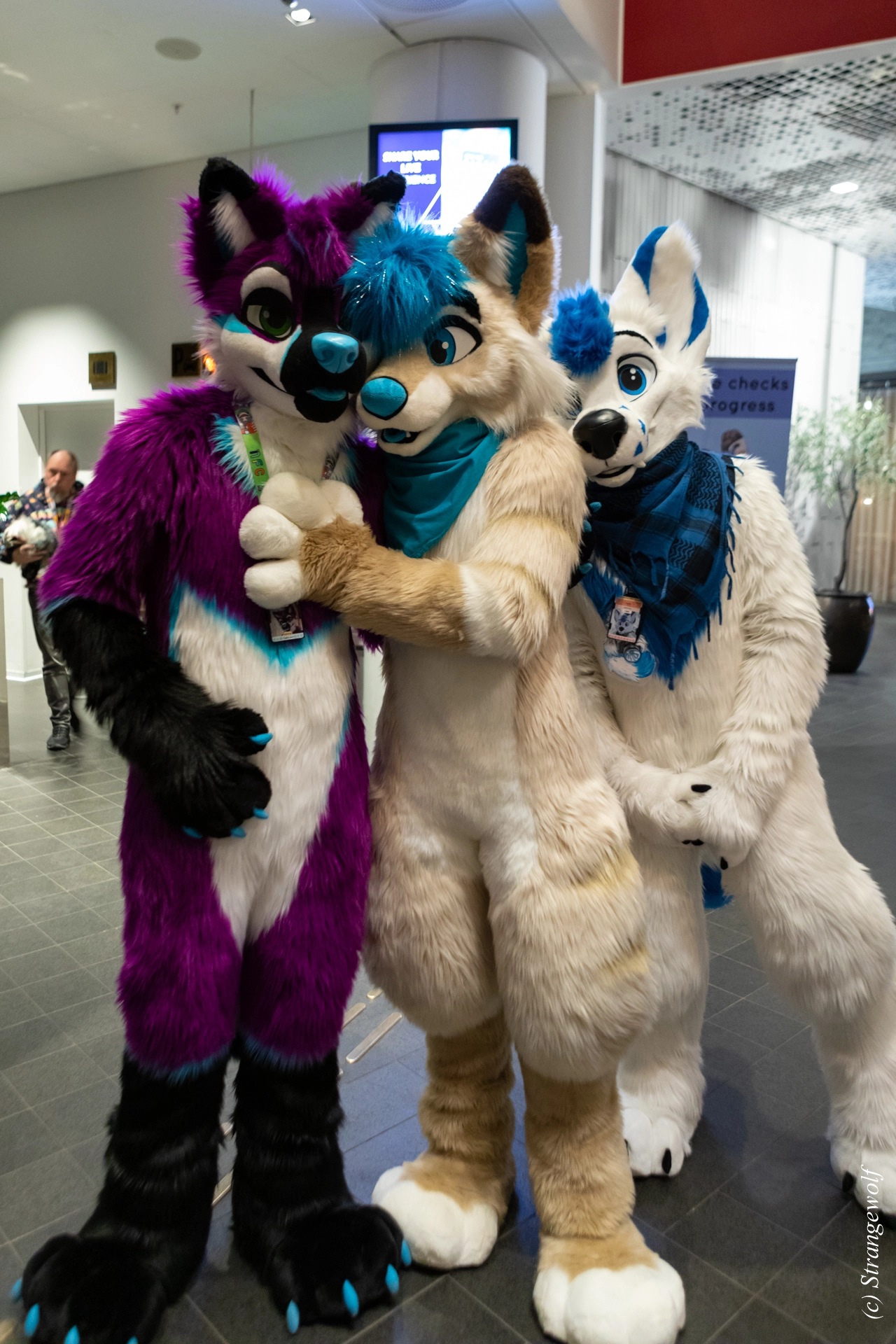 full image 1R3A0020-lr19t.jpg