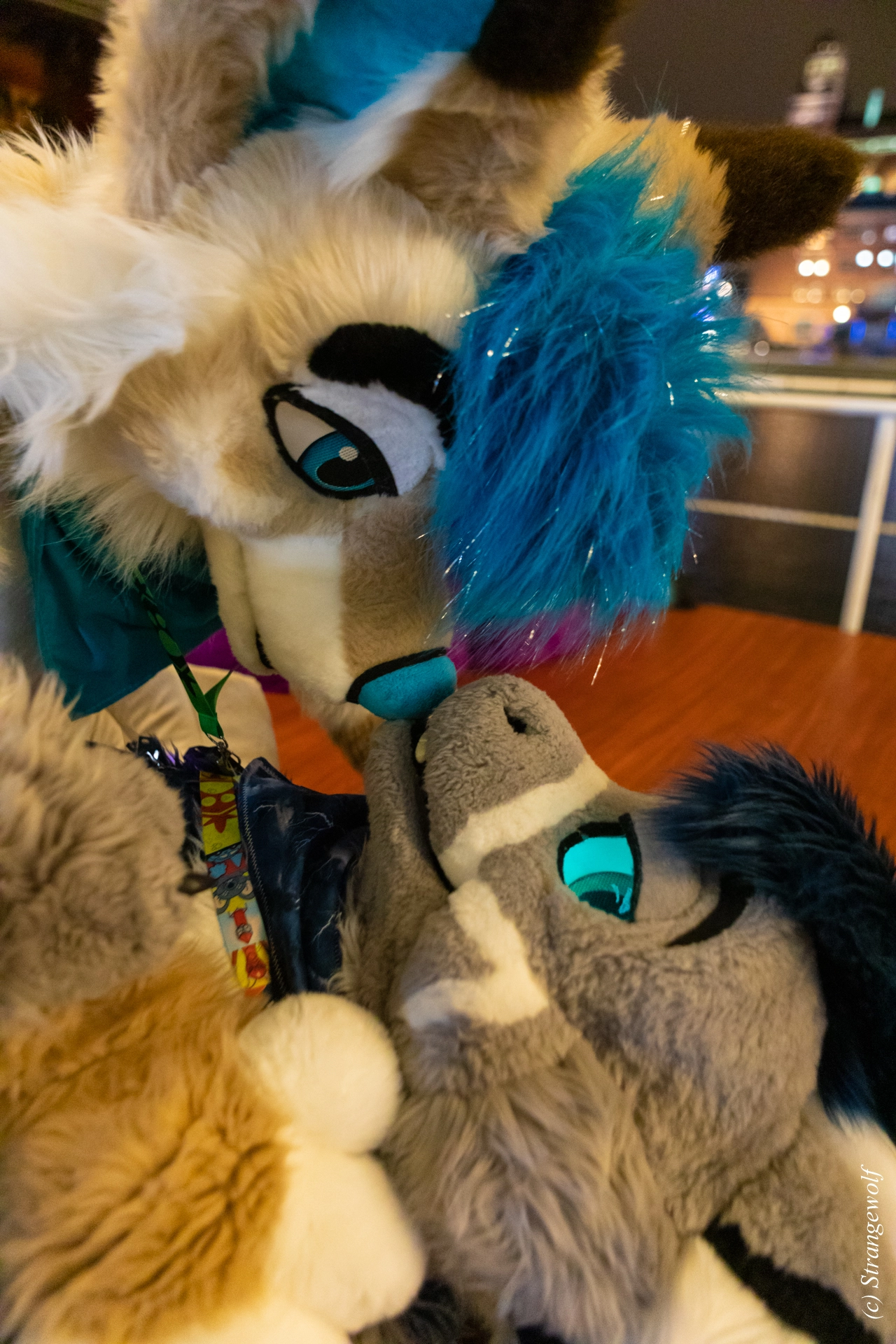 full image 1R3A9196-lr19t.jpg