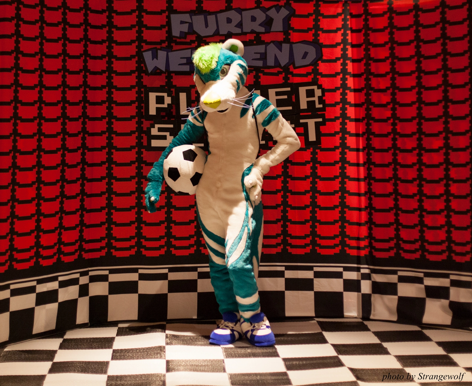 full image IMG_2758-lr16t.jpg