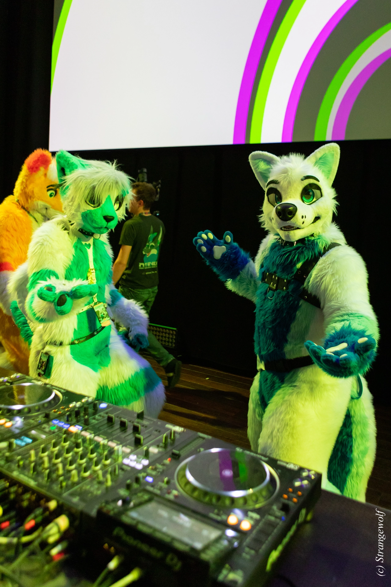 full image 1R3A9565-lr19t.jpg