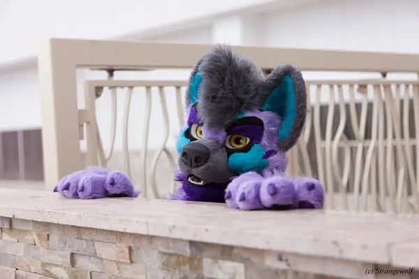 IMG_2856-lr19t.jpg of BLFC/2019/
