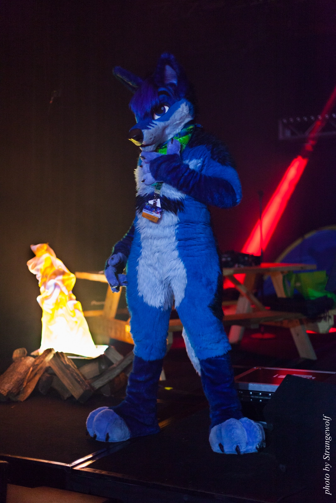 full image IMG_5847-lr16t.jpg
