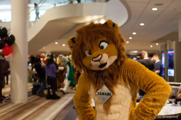 IMG_1659-lr19t.jpg of FWA/FWA2019/