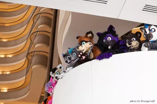 IMG_2882-lr16t.jpg of FWA/FWA2017/