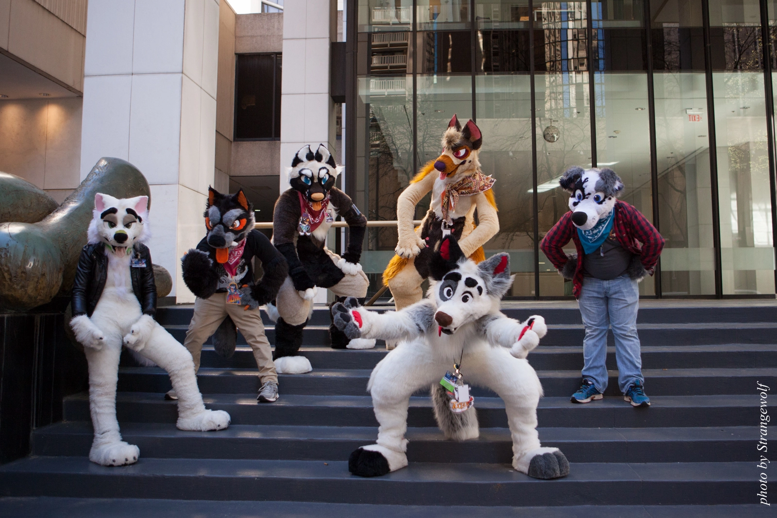 full image IMG_6138-lr16t.jpg
