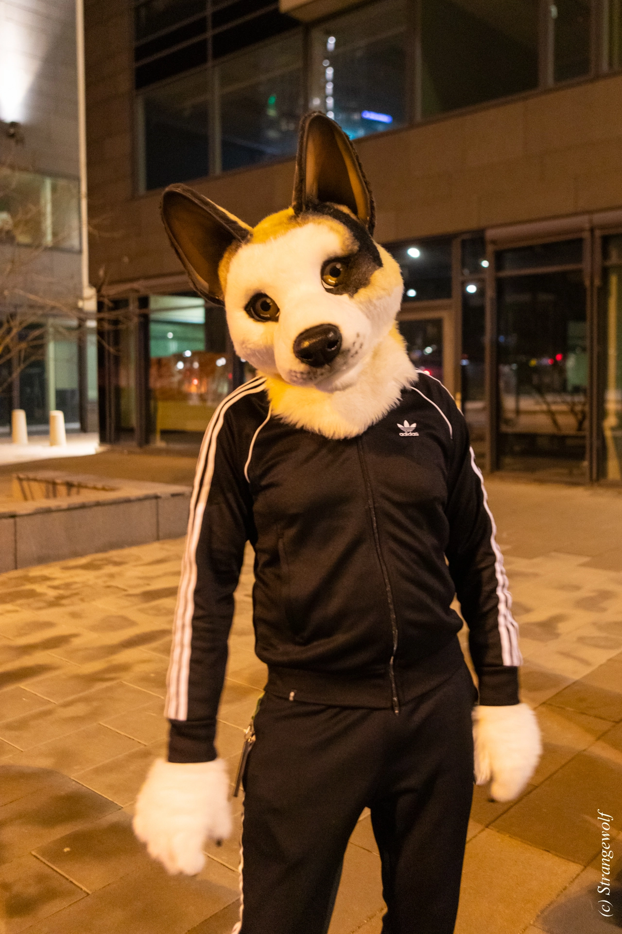 full image 1R3A9254-lr19t.jpg