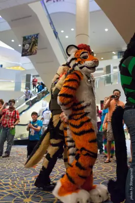 IMG_7468-lr16t.jpg of FWA/FWA2015/