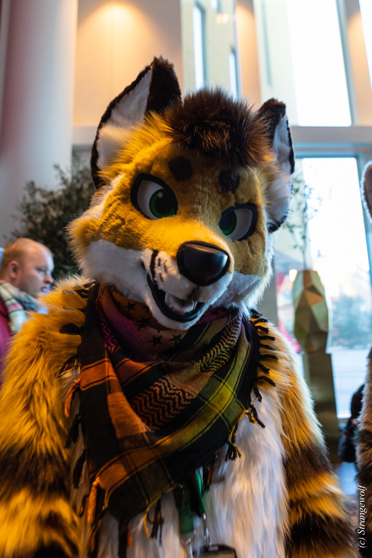 full image 1R3A9846-lr19t.jpg