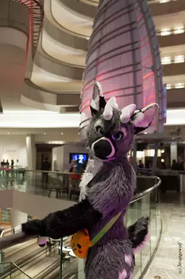 IMG_1626-lr19t.jpg of FWA/FWA2019/