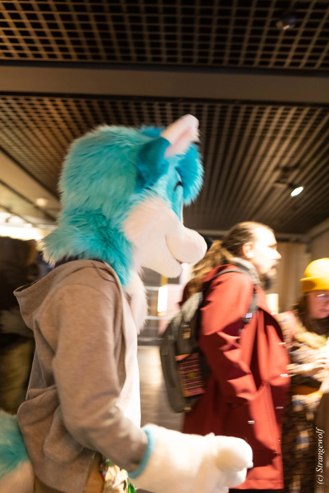 full image 1R3A9106-lr19t.jpg