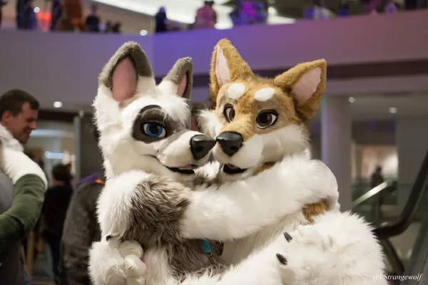 IMG_1768-lr19t.jpg of FWA/FWA2019/