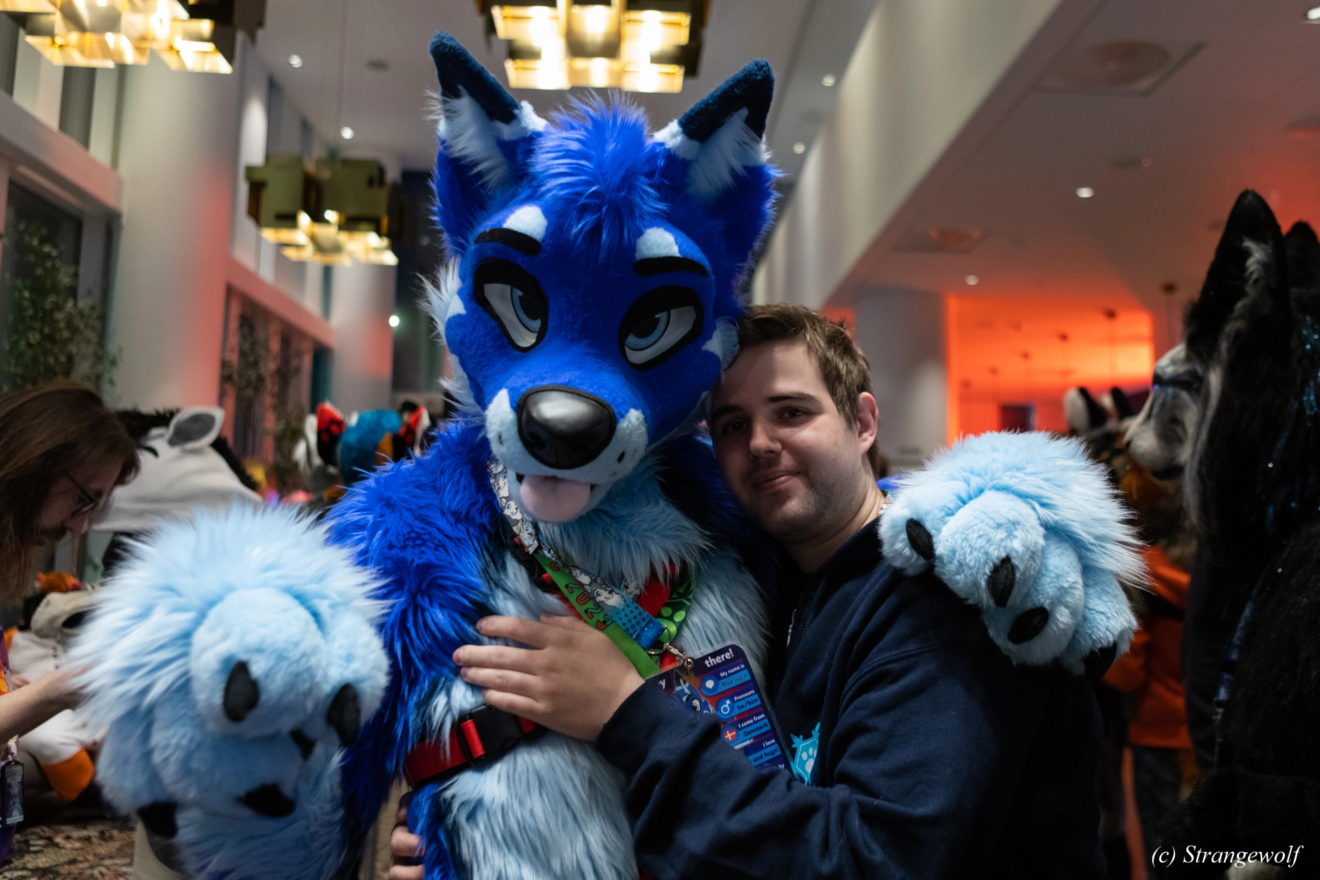 full image 1R3A0034-lr19t.jpg