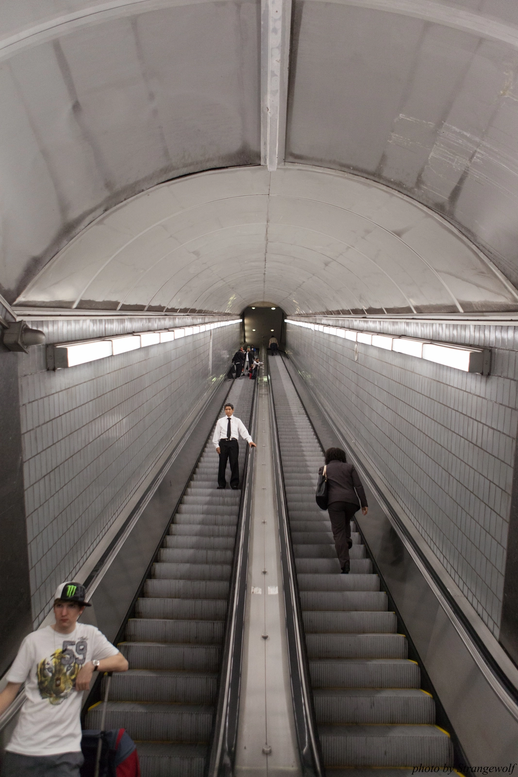 full image IMG_7829-lr16t.jpg