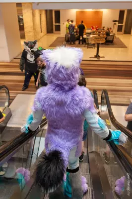 IMG_2098-lr19t.jpg of FWA/FWA2019/