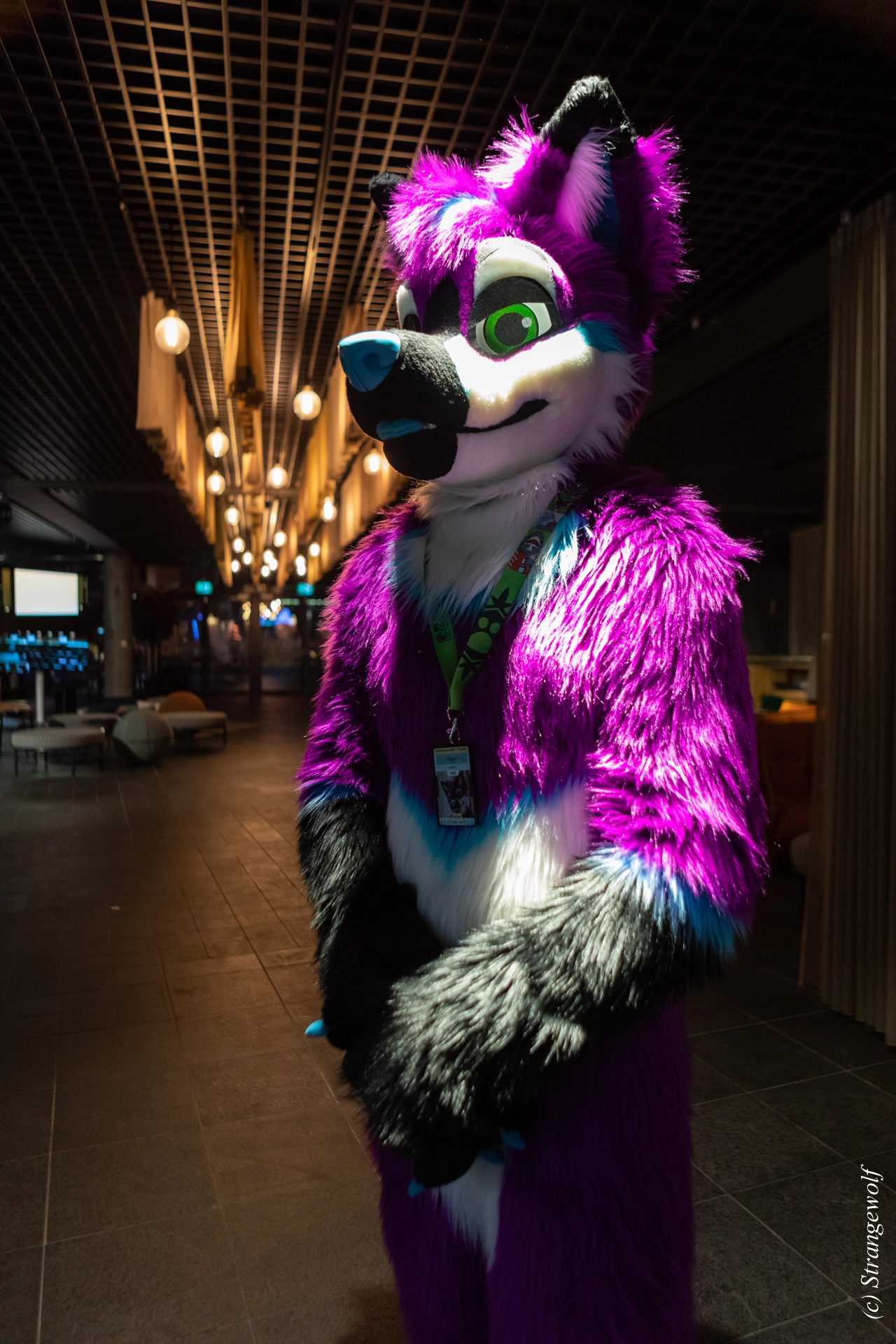 full image 1R3A0157-lr19t.jpg