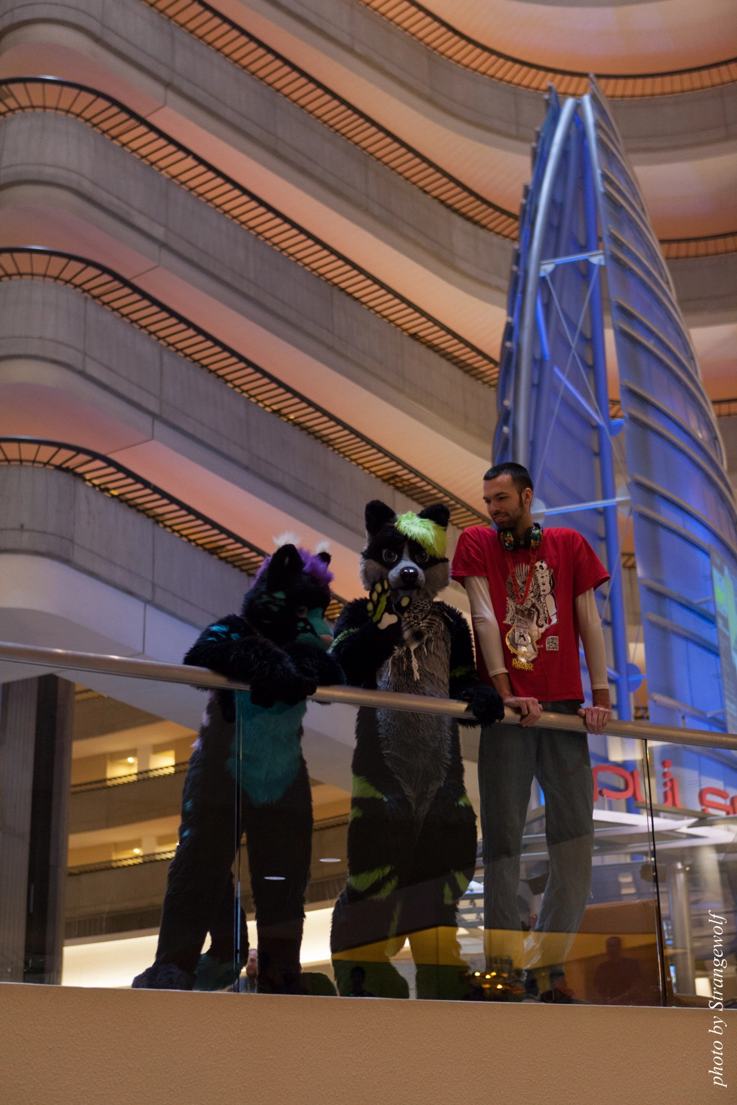 full image IMG_7628-lr16t.jpg