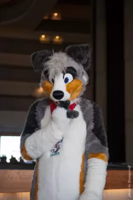 IMG_6049-lr16t.jpg of FWA/FWA2016/