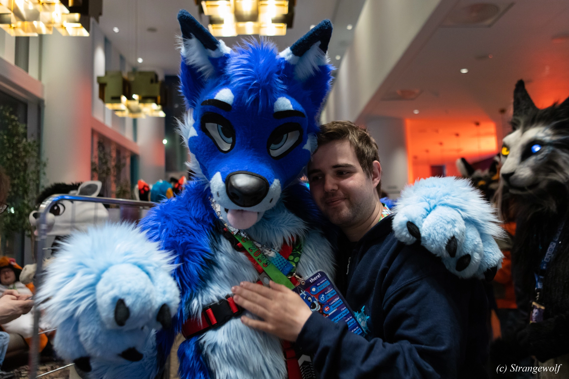 full image 1R3A0036-lr19t.jpg