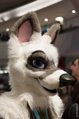 IMG_1754-lr19t.jpg of FWA/FWA2019/